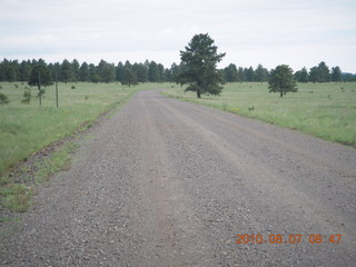 New Mexico back-country trip - Negrito run - flowers