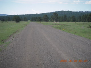 New Mexico back-country trip - Negrito run