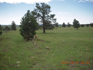 New Mexico back-country trip - Negrito run