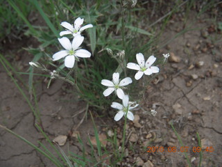 New Mexico back-country trip - Negrito run