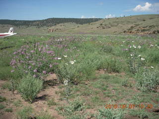 New Mexico back-country trip - N4372J panel