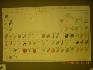 periodic table of vegetables