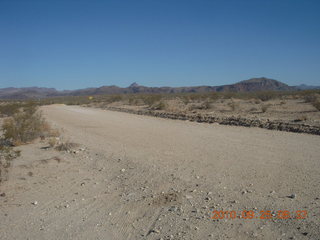 Alamo Lake run