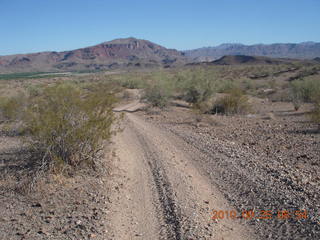 175 7br. Alamo Lake run