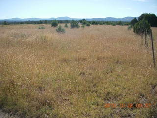 137 7c2. Me-Own airstrip run - N8377W in the distance