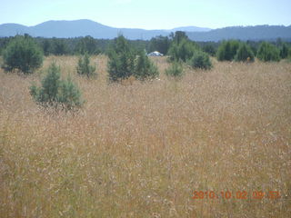 138 7c2. Me-Own airstrip run - N8377W in the distance