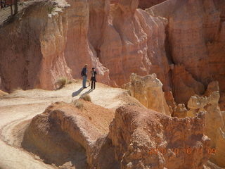 Bryce Canyon - lone tree atop a rock