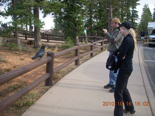 Bryce Canyon - raven or crow, Sean, and Kristina