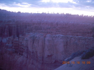 Bryce Canyon - raven or crow