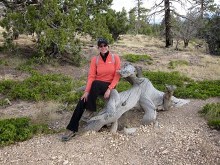 Sean's Bryce Canyon photos - Kristina