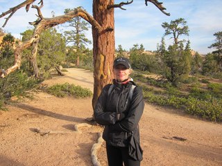 Sean's Bryce Canyon photos - Kristina