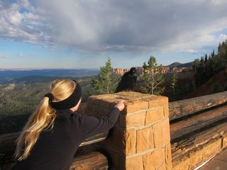 46 7cj. Sean's Bryce Canyon photos - Kristina