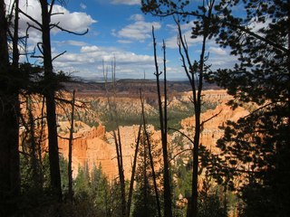 Sean's Bryce Canyon photos - Kristina, Adam