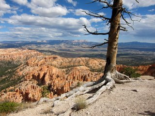 Sean's Bryce Canyon photos - Kristina