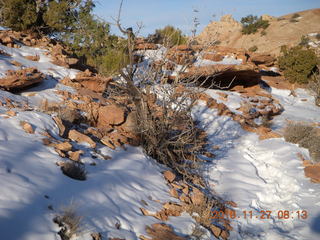 Moab trip - Canyonlands Lathrop hike