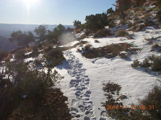 43 7dt. Moab trip - Canyonlands Lathrop hike