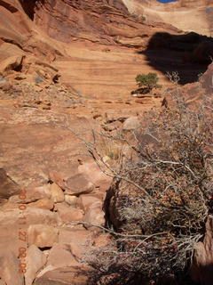 Moab trip - Canyonlands Lathrop hike