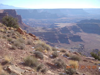 Moab trip - Canyonlands Lathrop hike