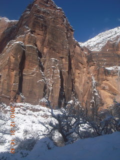 Zion National Park trip