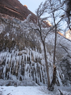 Zion National Park trip - New Year's Eve fireworks