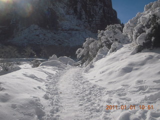 Zion National Park trip