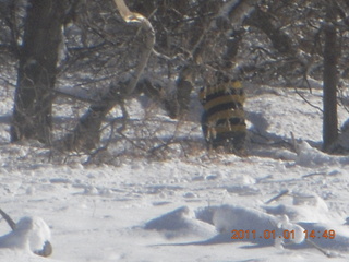 Zion National Park trip - Sheri's pictures