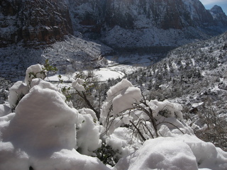 Zion National Park trip - Sheri's pictures