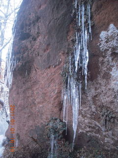 173 7f1. Zion National Park trip