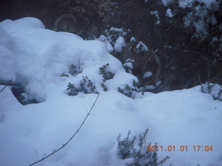 204 7f1. Zion National Park trip