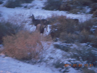 Zion National Park trip