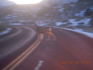 Zion National Park trip