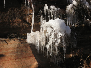 Zion National Park trip - Sheri's pictures