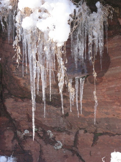 Zion National Park trip