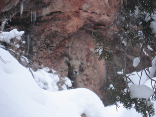 Zion National Park trip - Sheri's pictures