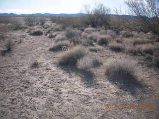 aerial - near Alamo Lake