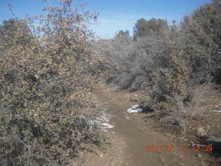 Prescott hike with Verna - Acker Park