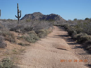 McDowell-Sonoran Challenge - Vena and Kevin