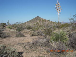 McDowell-Sonoran Challenge - Kevin stretching