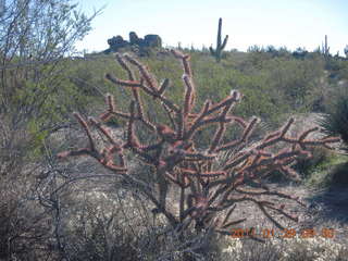 McDowell-Sonoran Challenge