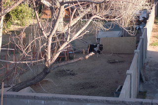 US Airways 'Do Crew' Habitat for Humanity volunteer work - lot next door