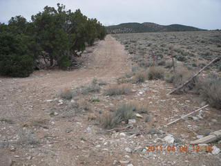 Eagle City airstrip run