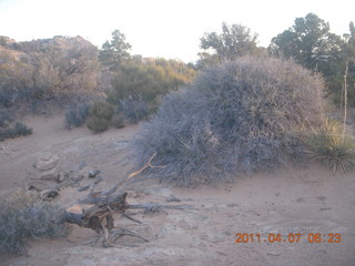 7 7j7. Canyonlands Lathrop hike/run