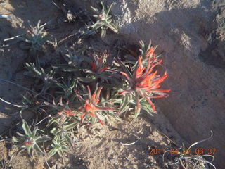 Canyonlands Lathrop hike/run