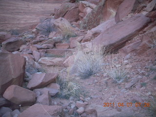 Canyonlands Lathrop hike/run - rock with tiny pimples