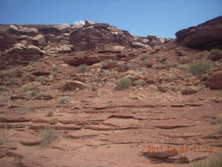 Canyonlands Lathrop hike/run - riverside picnic tables