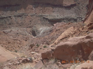 Canyonlands Lathrop hike/run - flora