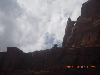 Canyonlands Lathrop hike/run - flora