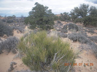 Canyonlands Lathrop hike/run - rock surface