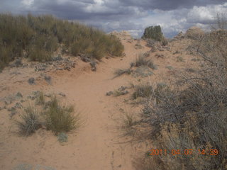 Canyonlands Lathrop hike/run