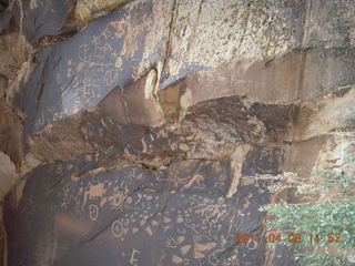 drive to Canyonlands Needles - Newspaper Rock